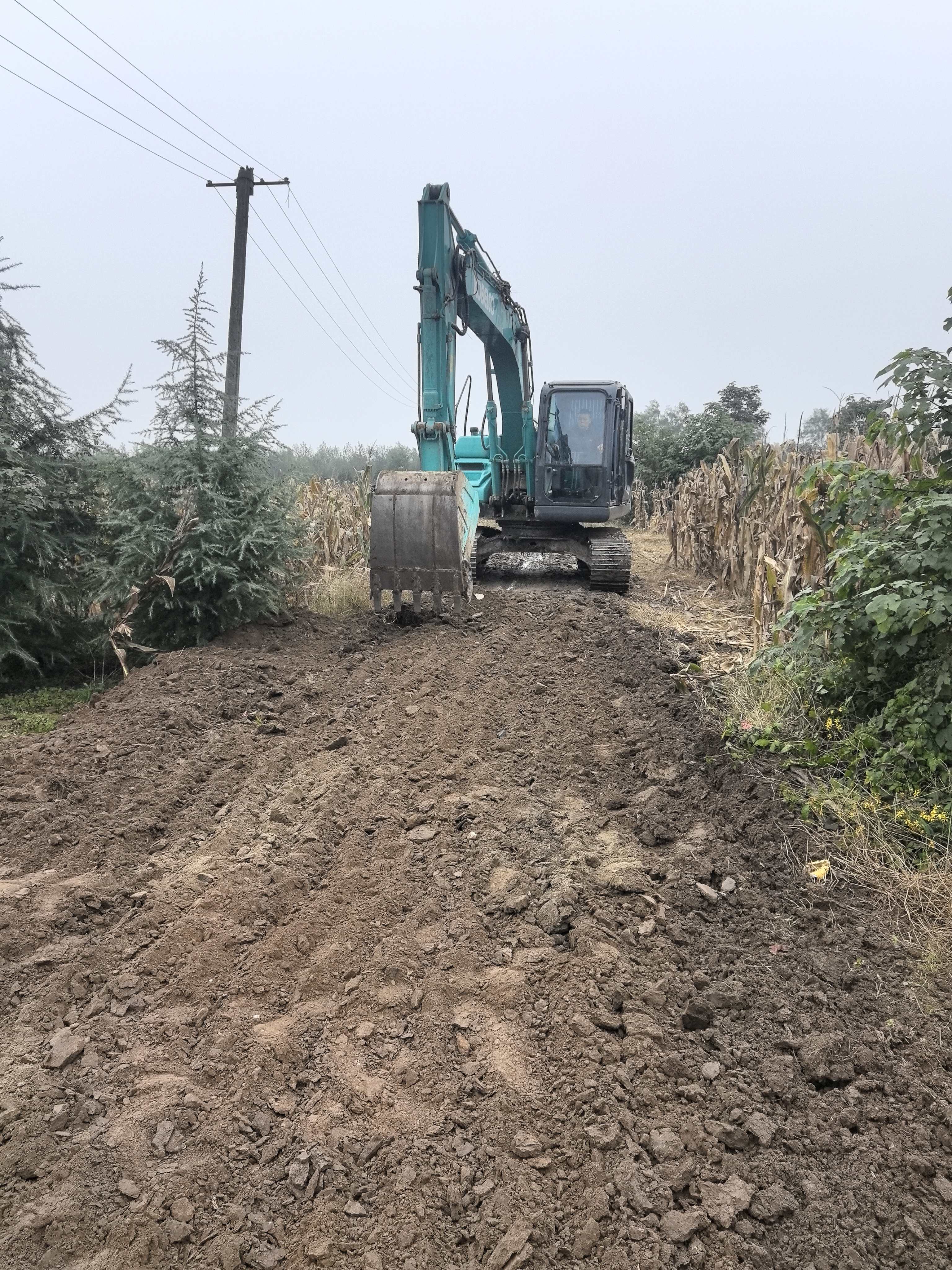 富仁镇五一村苗木、猕猴桃生产路硬化项